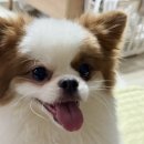 용장어구이 이미지