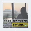 제주가성비숙소 수영장 서귀포 온수풀 플레이스캠프 비어트립
