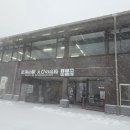 기리시마 이미지