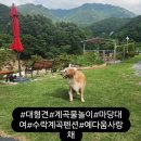 예다움사랑채 이미지