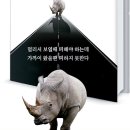코뿔소 티스토리