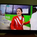 6시내고향 티스토리