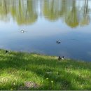 몸과 마음을 위한 건강식탁 이미지