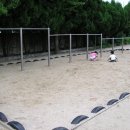 노원초등학교 이미지