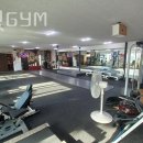 THE 멋 GYM 네이버블로그