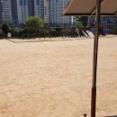 삼어초등학교 이미지