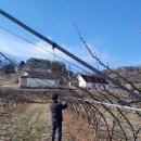 금산군농업기술센터 이미지