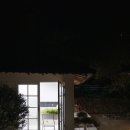 스테이모네 이미지