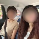 마리 앤 라일라 1대1 애견호텔 애견데이케어 | 보홀 육상투어 - 야놀자, 보홀어드벤처 내돈내산 후기 (초콜렛힐, 안경원숭이, 반딧불이 투어)