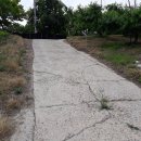 자성농장 이미지