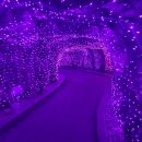 놀이나라 | 32개월아기랑 자수정동굴나라 보트 놀이기구 후기