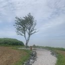 카페보리 이미지