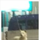 소래주유소 이미지