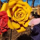 왕송스낵 이미지