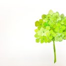 수채화 캘리그라피 이미지