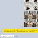 삐삐그루밍 이미지