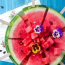 수박씨 이미지