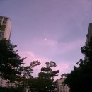 (주)파머시즌 | 너의 존재를 지운다! 없어져라! 없을 무!