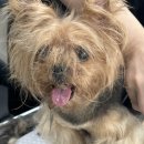 루이앤코코 이미지