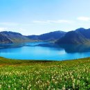 백두산삼계탕 이미지