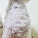 광내는날