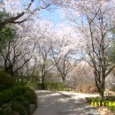 수진 공원 이미지