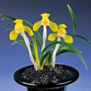 신안센터-7 이미지