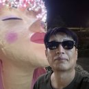 라인댄스(주간) | 전남가볼만한곳 섬진강 기차마을 제16회 곡성세계 장미축제 야간 경관조명 5월여행지 꽃구경 추천