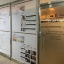 크린브레인