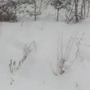 남양펜션 이미지