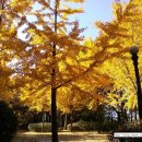 영수공원길 이미지