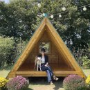 십칠다시이십 이미지