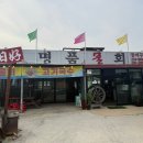 일호명품물회 - 7668 | 일호명품물회