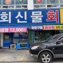 회신물회