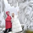 치현농장 이미지