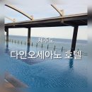 다인채널 | 제주도 애월숙소추천 바다뷰호텔 다인오세아노호텔 수영장 내돈내산후기