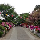 흥륜사 - 1429 | 흥륜사