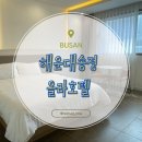 올라 | 부산 송정 가성비 숙소 올라호텔 솔직한 후기 장단점 A to Z