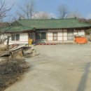 하양혈리 이미지