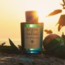 만다리노 이미지