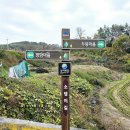 광암마을회관 | 남파랑길 60코스 여자만 갯노을길 여수 궁항정류장-장척갯벌노을마을-반월마을-광암마을-와온해변 여행기록