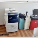 제록스카피랜드 이미지