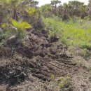 시흥리-8 이미지