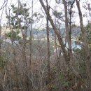 송죽목장 이미지