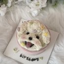 까까가개 이미지