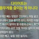 슬림점핑 이미지