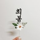 종이꽃 | 케이크꽃토퍼 유어네임토퍼 종이꽃토퍼 제작 후기, 선물 포장까지 활용