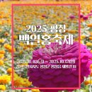 백일홍 | 평창 백일홍 축제 후기, 여행 마지막을 채운 꽃길 산책 (ft. 깡통열차)