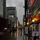 참치공방 | 시청역 회식맛집 참치공방, 스페셜 코스 후기