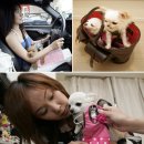 도그마미 이미지